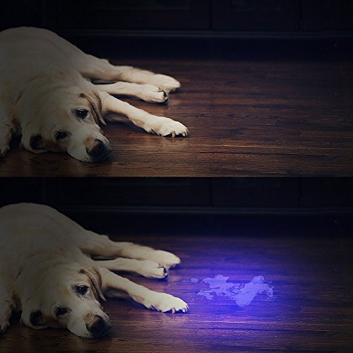 Vansky UV Black Light, Pets Ultra Violet Urine and Stain Detector