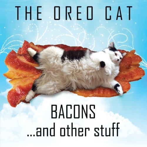 The Oreo Cat: Bacons, and other stuff