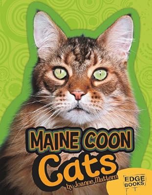Maine Coon Cats