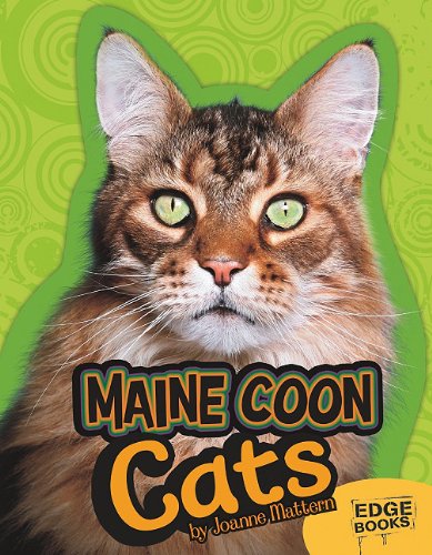 Maine Coon Cats by Joanne Mattern