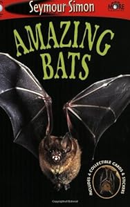 Amazing Bats: See More Readers Level 1
