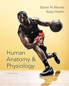 Human Anatomy & Physiology by Elaine N. Marieb