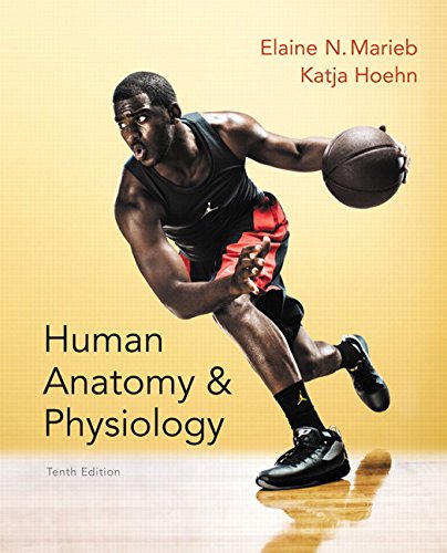 Human Anatomy & Physiology by Elaine N. Marieb