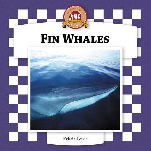 Fin Whales (Whales Set II) by Kristin Petrie