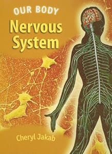 Nervous System (Our Body)