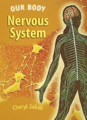 Nervous System (Our Body)