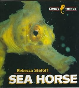 Sea Horse (Living Things)