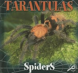 Tarantulas (Spiders Discovery Library)