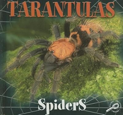 Tarantulas (Spiders Discovery Library)