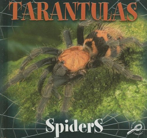 Tarantulas (Spiders Discovery Library) by Jason Cooper
