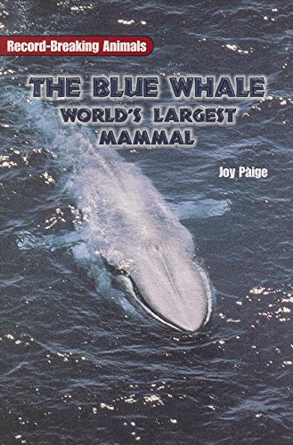 On Deck Reading Libraries: Leveled Reader Grades 4 - 5 the Blue Whale by Rigby