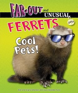 Ferrets: Cool Pets!