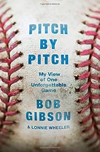 Pitch by Pitch: My View of One Unforgettable Game by Bob Gibson