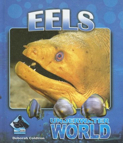 Eels (Underwater World) by Deborah Coldiron