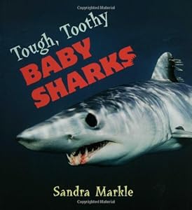 Tough, Toothy Baby Sharks