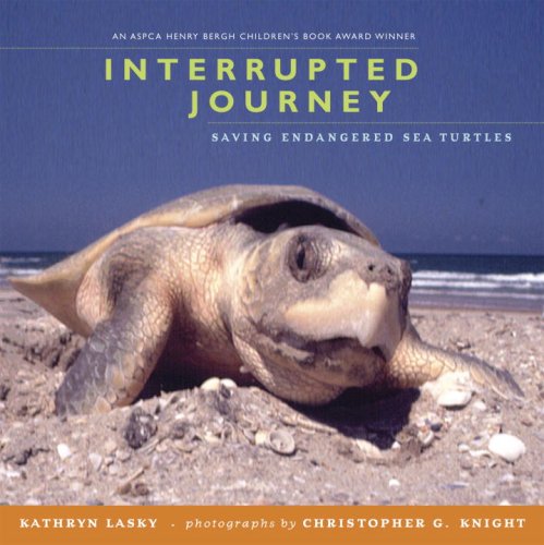 Interrupted Journey: Saving Endangered Sea Turtles by Kathryn Lasky
