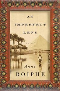 An Imperfect Lens