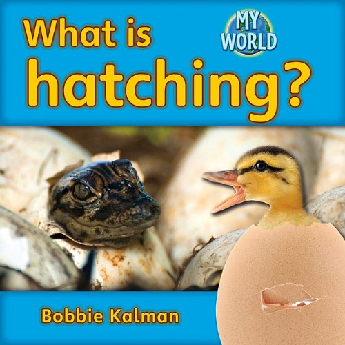 What Is Hatching? by Bobbie Kalman