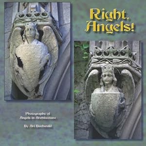 Right, Angels! by Ari Buchwald