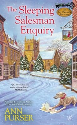 The Sleeping Salesman Enquiry