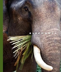 Elephants (The World of Mammals)