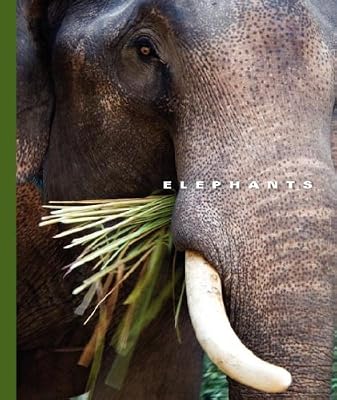 Elephants (The World of Mammals)