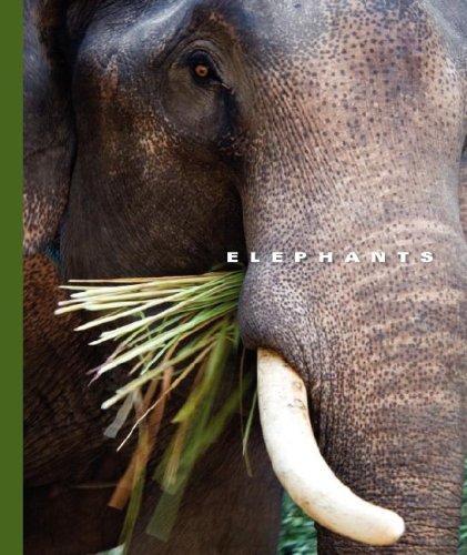 Elephants (The World of Mammals) by Sophie Lockwood