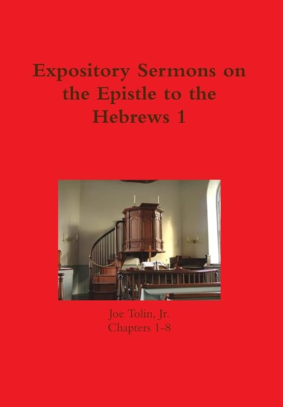 Expository Sermons on the Epistle to the Hebrews 1 by Joe Tolin Jr