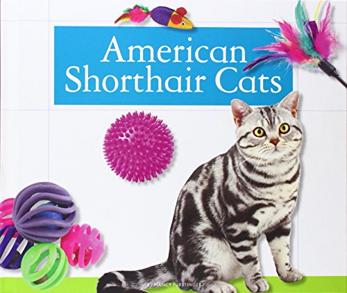 American Shorthair Cats by Nancy Furstinger
