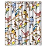 Honey Day House Bird On The Tree Waterproof Shower Curtain 60x72 Gift Choice