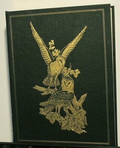 Roger Tory Peterson: The Art and Photography of the World's Foremost Birder by Roger Tory Peterson