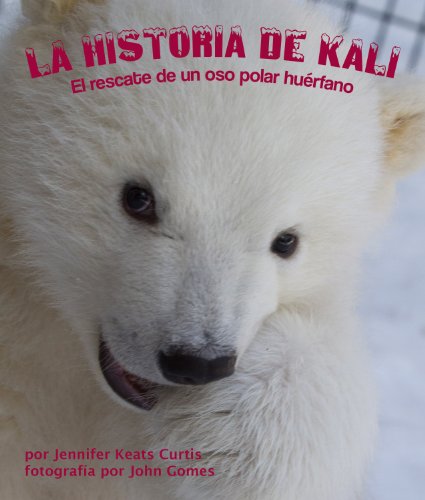 La historia de Kali: El rescate de un oso polar hu?rfano (Spanish Edition) by Jennifer Keats Curtis