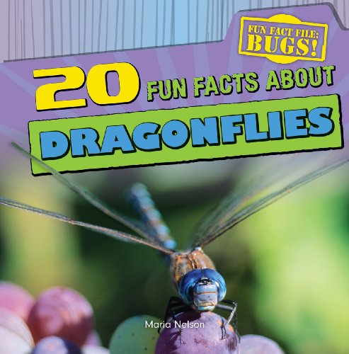 20 fun facts about dragonflies by Maria Nelson