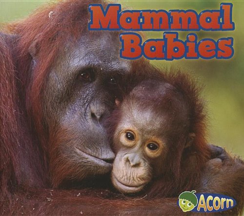 Mammal Babies by Catherine Veitch