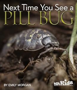 Next Time You See a Pill Bug - PB329X4 by Emily Morgan