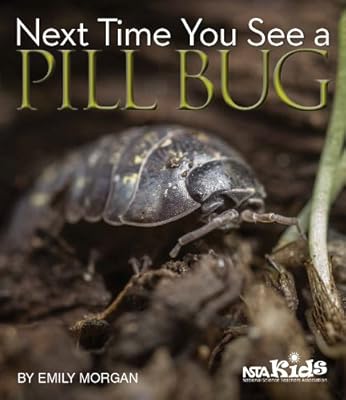Next Time You See a Pill Bug - PB329X4