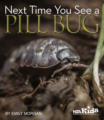 Next Time You See a Pill Bug - PB329X4 by Emily Morgan