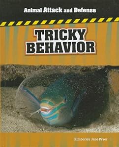 Tricky behavior
