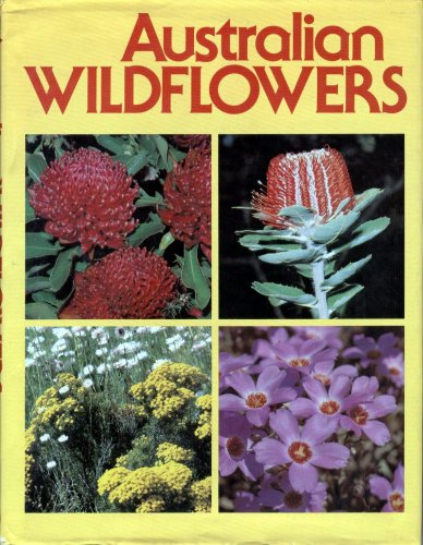 Australian Wildflowers by Unknown