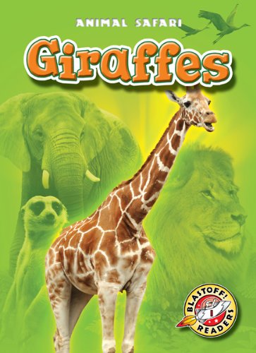 Giraffes by Kari Schuetz