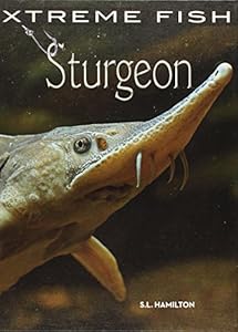 Sturgeon