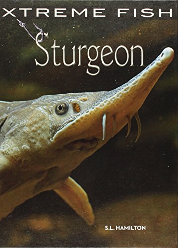Sturgeon by S. L. Hamilton