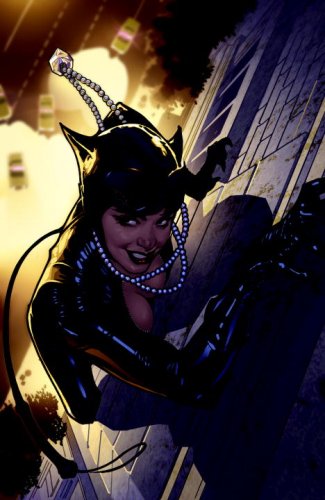 Catwoman: The Long Road Home by Will Pfeifer
