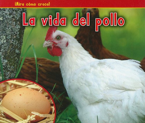 La vida del pollo by Nancy Dickmann