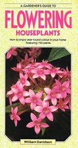 A Gardener's Guide to Flowering Houseplants