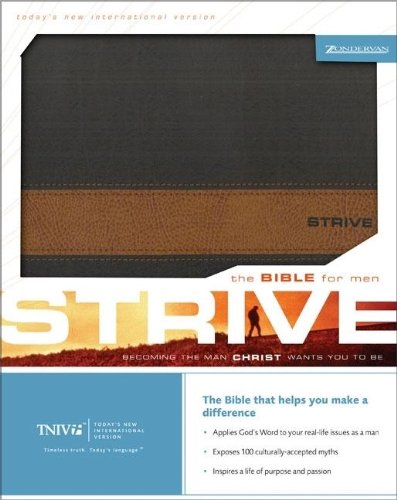 Strive: The Bible for Men (TNIV) by Zondervan