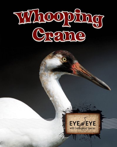 Whooping Cranes by Precious McKenzie