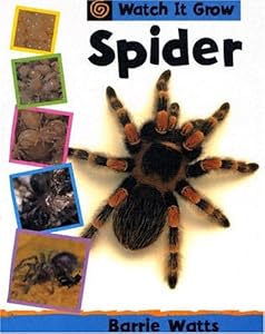 Spider (Watch It Grow)