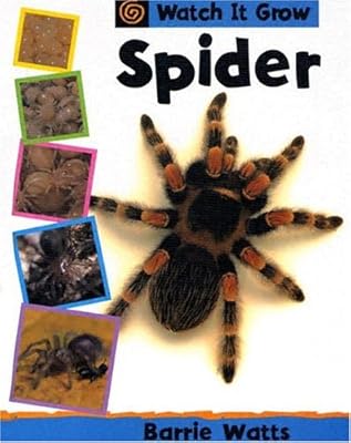 Spider (Watch It Grow)