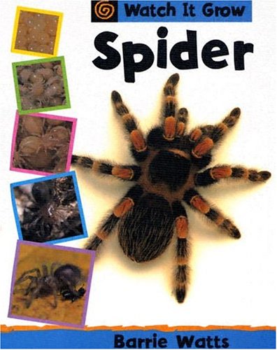 Spider (Watch It Grow) by Barrie Watts